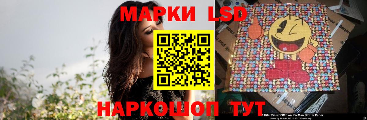 Курчалой  Лсд 25 экстази  Вход с VPN  Лсд 25 экстази кислота 