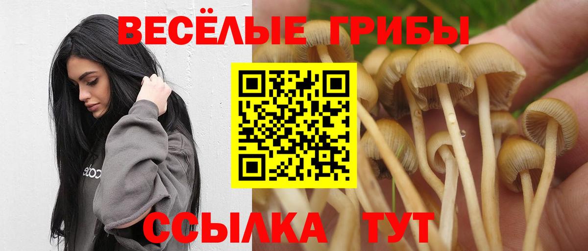Псилоцибиновые грибы мухоморы Курчалой