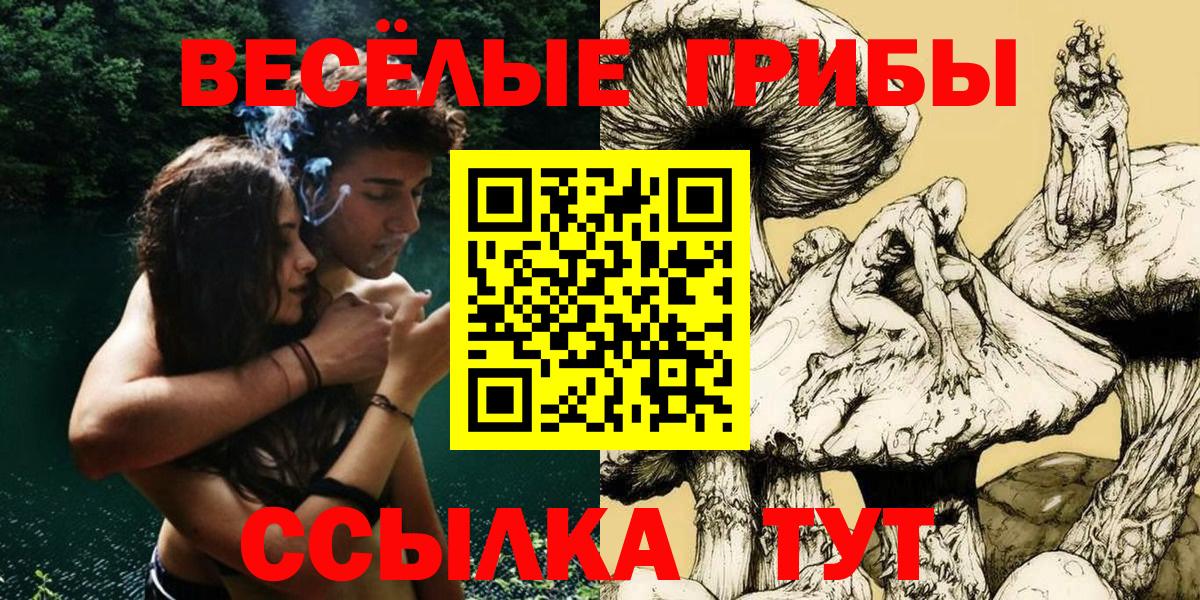 Курчалой  Галлюциногенные грибы Cubensis  Вход с VPN 