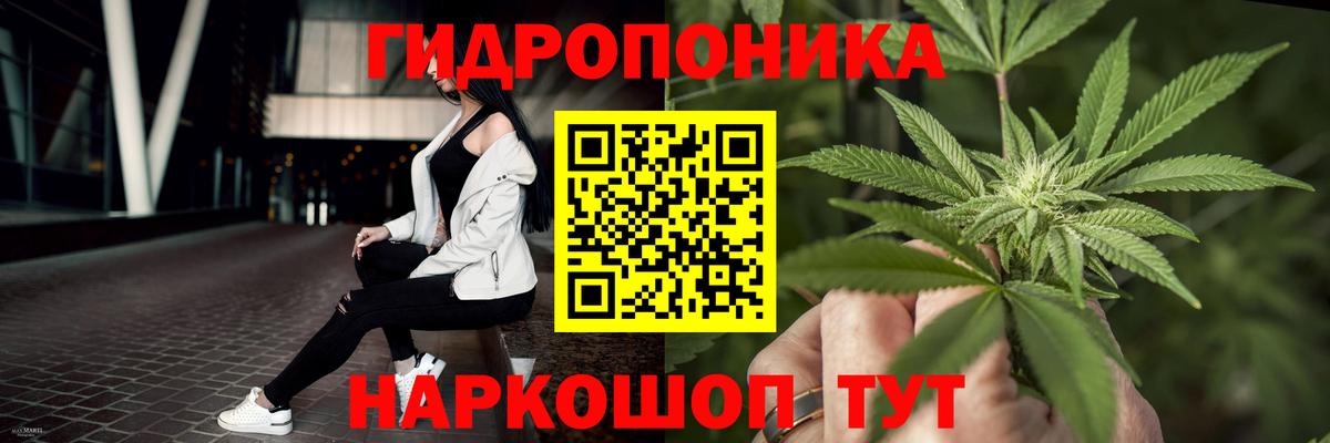 Каннабис ГИДРОПОН  МАРИХУАНА семена  Вход с VPN  Курчалой  Шишки марихуана OG Kush 